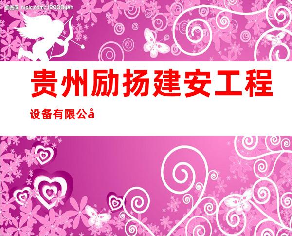 贵州励扬建安工程设备有限公司