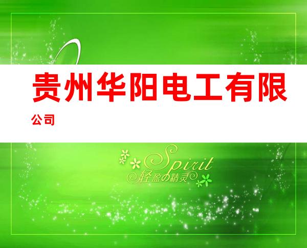 贵州华阳电工有限公司