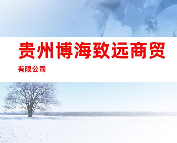 贵州博海致远商贸有限公司