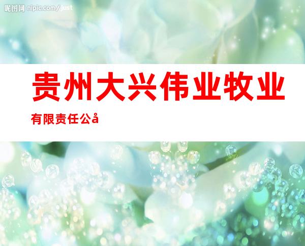 贵州大兴伟业牧业有限责任公司