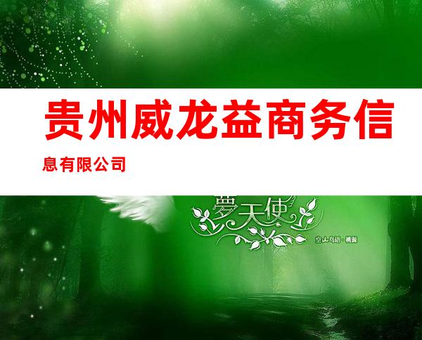 贵州威龙益商务信息有限公司