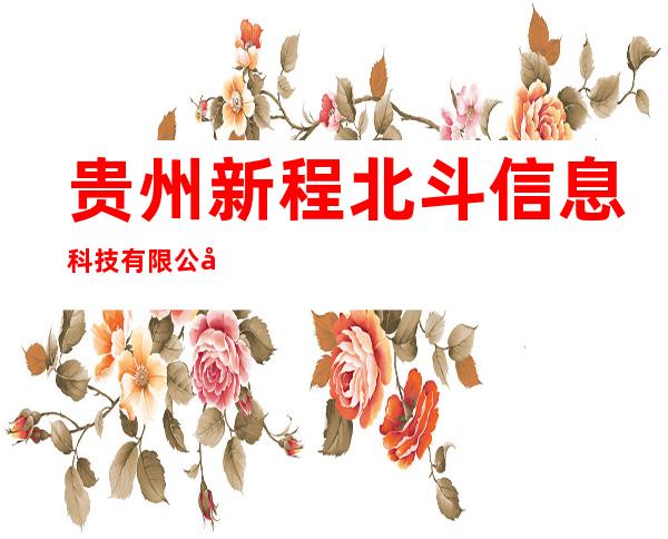贵州新程北斗信息科技有限公司