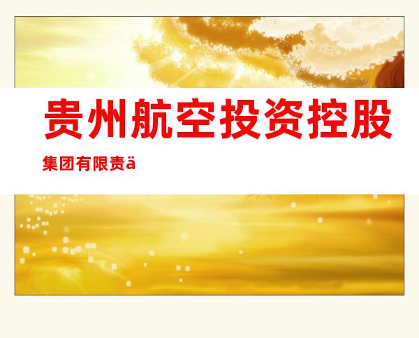 贵州航空投资控股集团有限责任公司