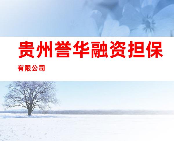 贵州誉华融资担保有限公司