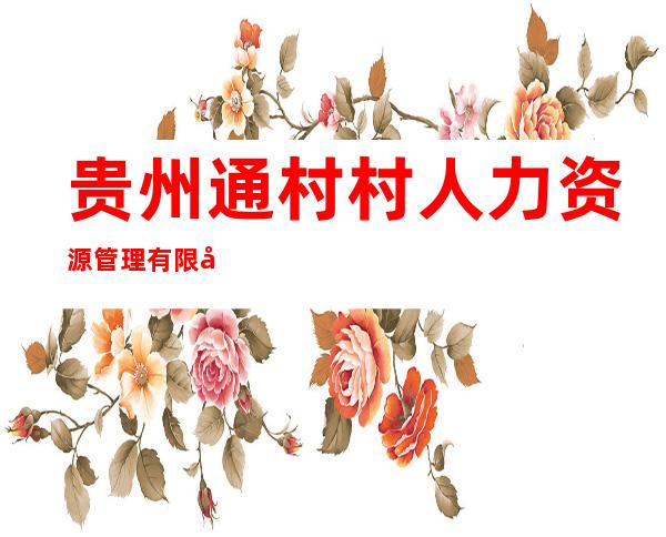 贵州通村村人力资源管理有限公司