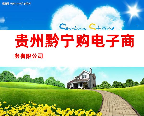 贵州黔宁购电子商务有限公司