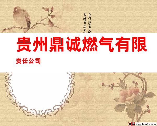 贵州鼎诚燃气有限责任公司