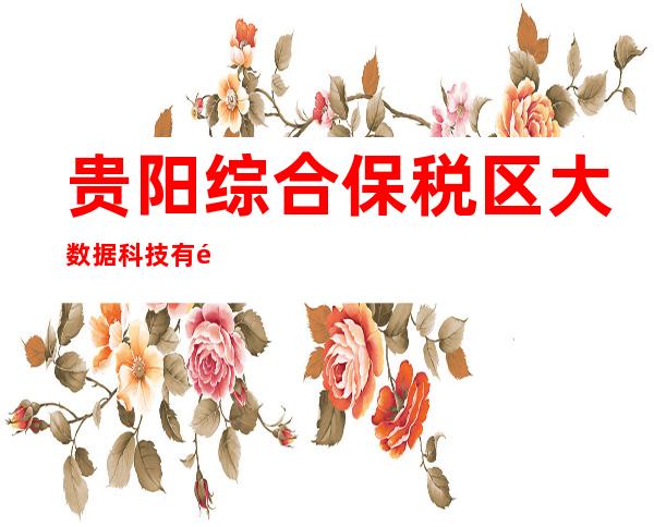 贵阳综合保税区大数据科技有限公司