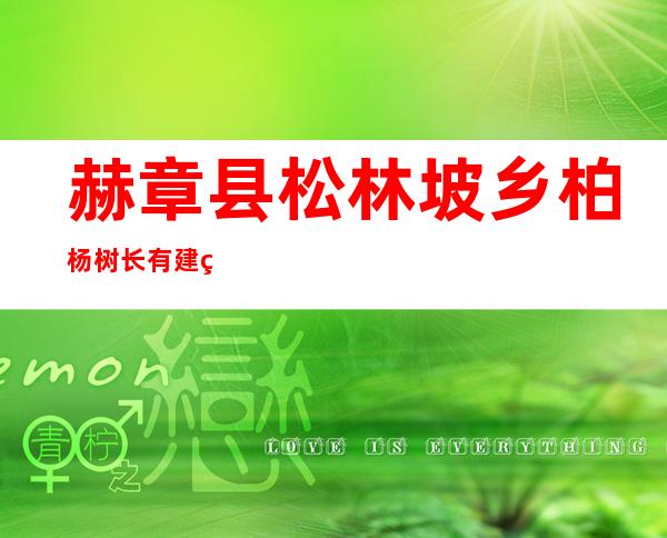 赫章县松林坡乡柏杨树长有建筑石料用灰岩矿