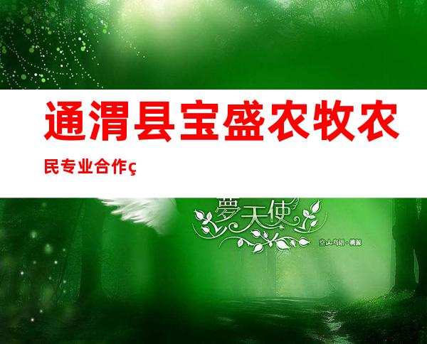 通渭县宝盛农牧农民专业合作社