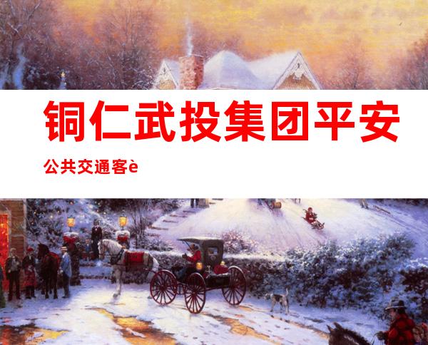 铜仁武投集团平安公共交通客运有限公司