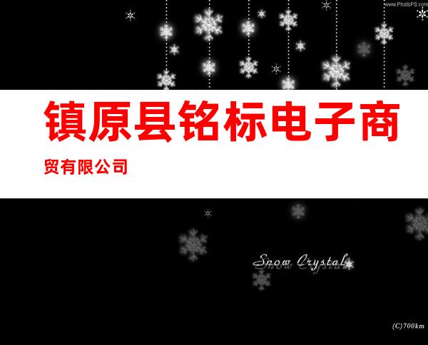 镇原县铭标电子商贸有限公司