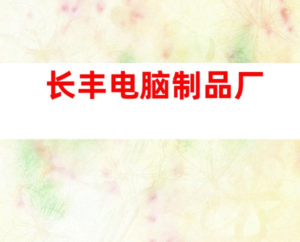 长丰电脑制品厂
