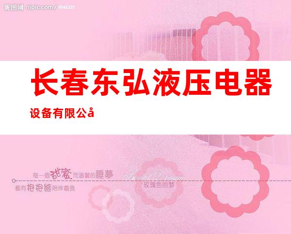长春东弘液压电器设备有限公司