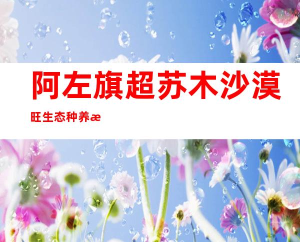 阿左旗超苏木沙漠旺生态种养殖专业合作社