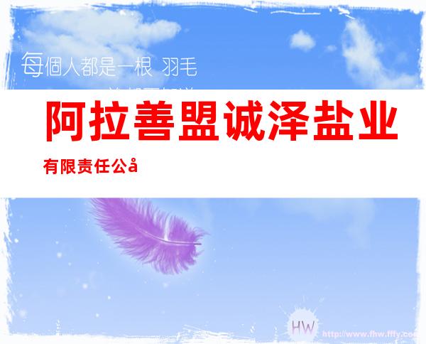 阿拉善盟诚泽盐业有限责任公司