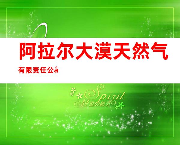 阿拉尔大漠天然气有限责任公司阿拉尔市环城东路加油加气站