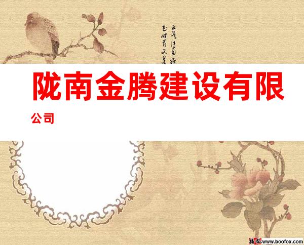 陇南金腾建设有限公司