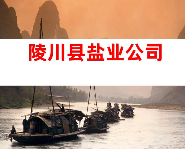 陵川县盐业公司