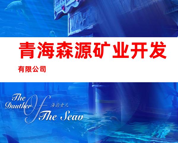 青海森源矿业开发有限公司