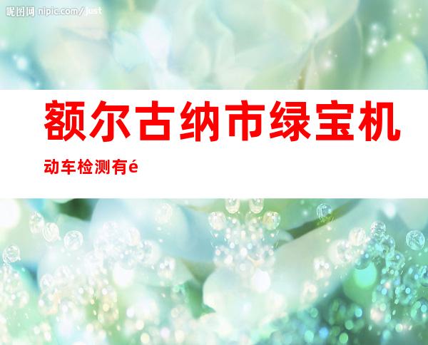 额尔古纳市绿宝机动车检测有限公司