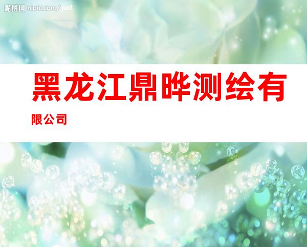 黑龙江鼎晔测绘有限公司