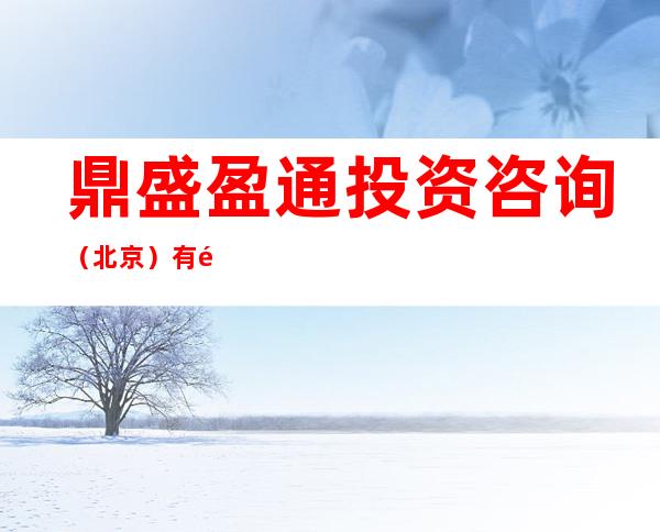 鼎盛盈通投资咨询(北京)有限公司鄂尔多斯分公司
